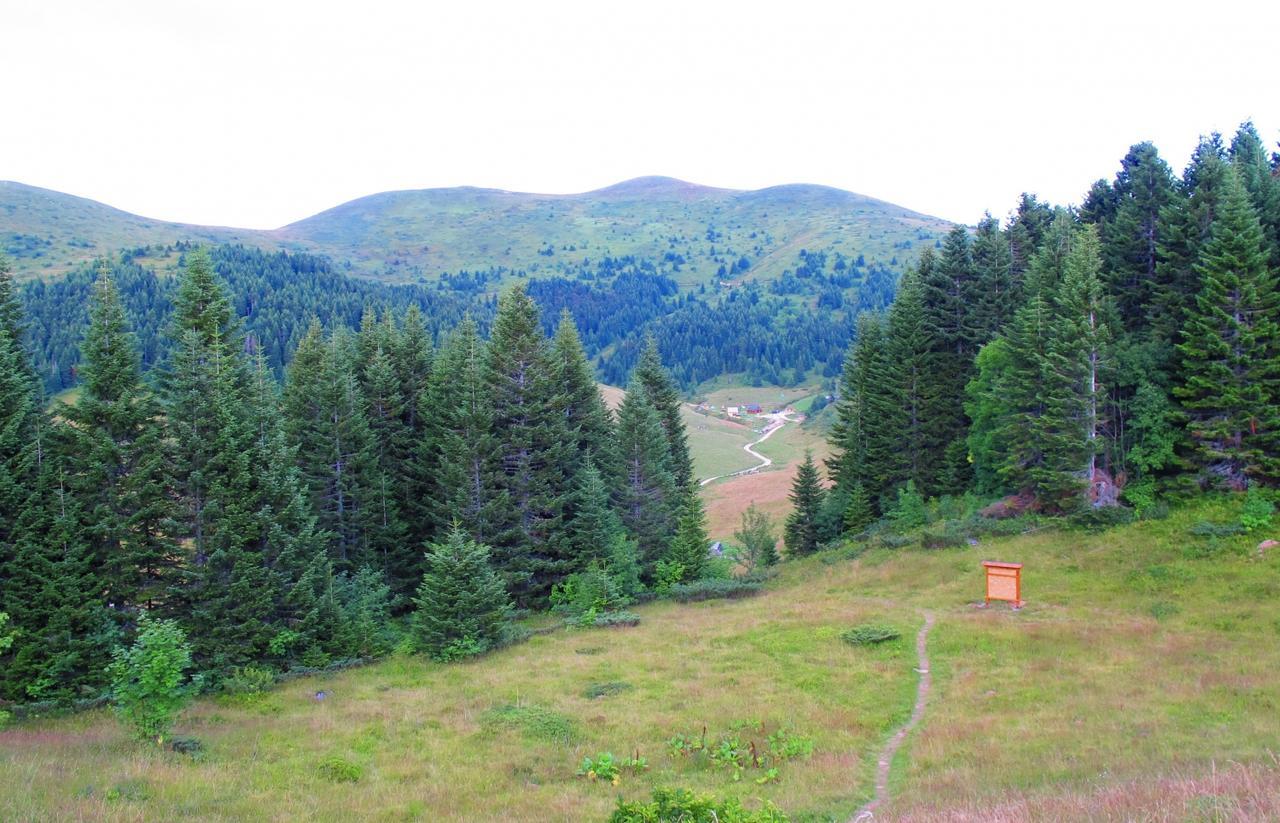 Kamp Janketic Hostal Kolašin Exterior foto