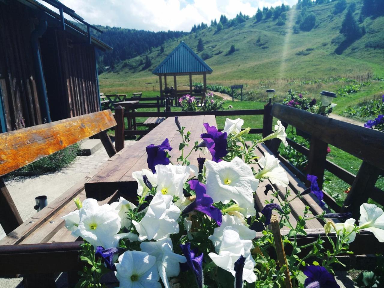 Kamp Janketic Hostal Kolašin Exterior foto